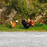 Prázdninový dům Casa Corral Bouzamayor *