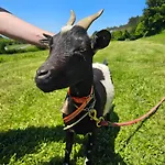 Prázdninový dům Casa Corral Bouzamayor Valdoviño