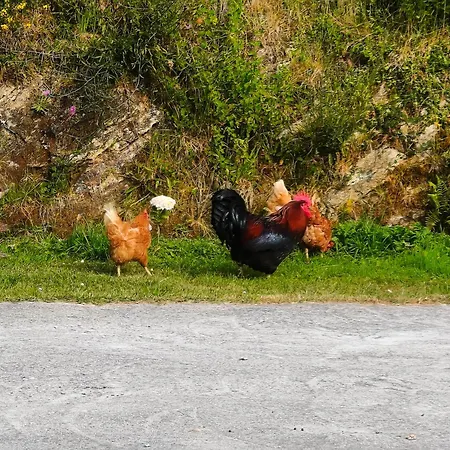 Casa vacanze Casa Corral Bouzamayor *