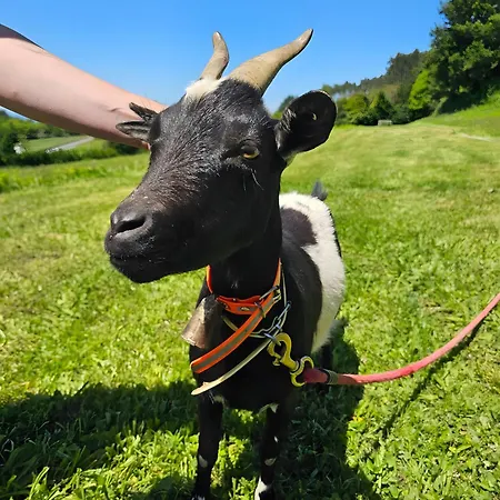 Casa de Férias Casa Corral Bouzamayor Santa María