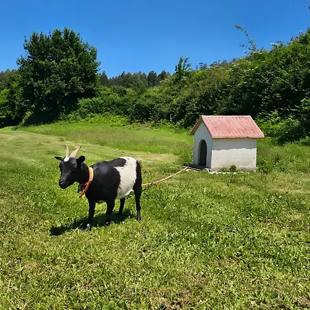 Casa Corral Bouzamayor Casa vacanze *