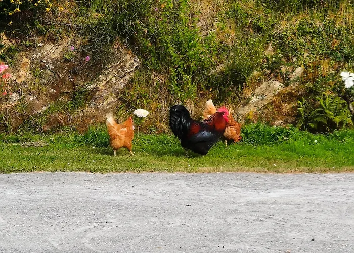 別荘 Casa Corral Bouzamayor *