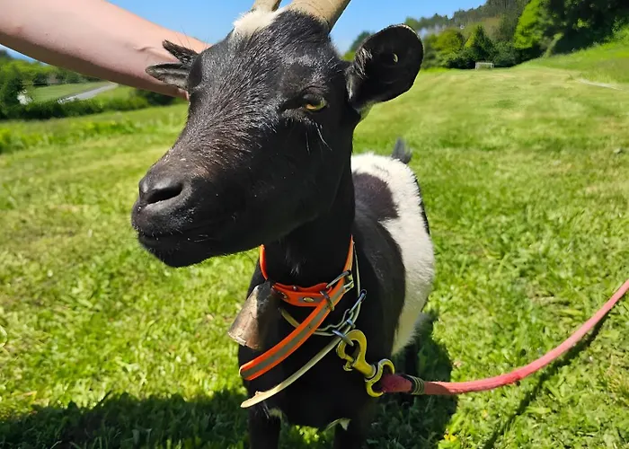 別荘 Casa Corral Bouzamayor Santa María