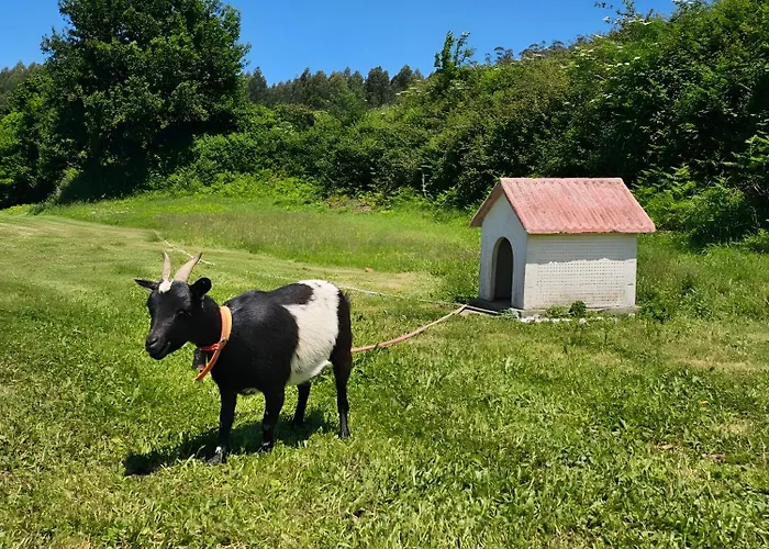 Casa Corral Bouzamayor 別荘 *